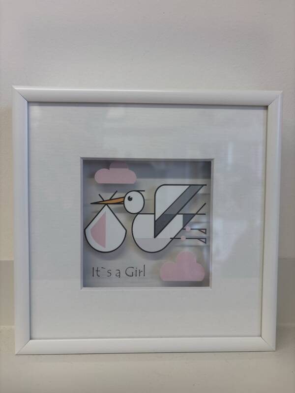 Framed illustrations on glass